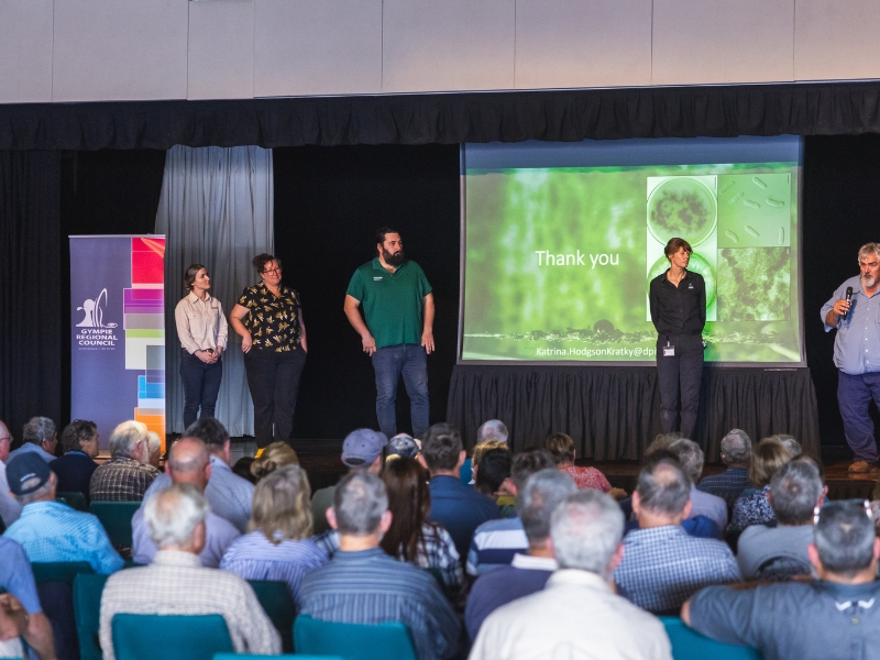 Giant Rats Tail Grass Event Photo all