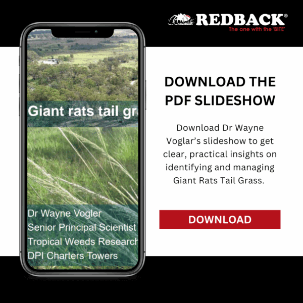 Dr Wayne Voglar’s proven tips for Rats Tail Grass management.