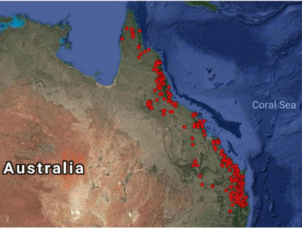 Wayne Vogler -Where in Australia can you find Rats tail Grass