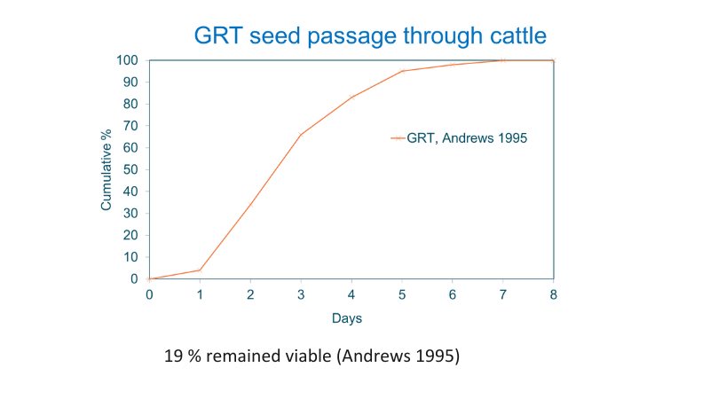 Wayne Vogler - Giant Rats Tail grass – seed passage through cattle
