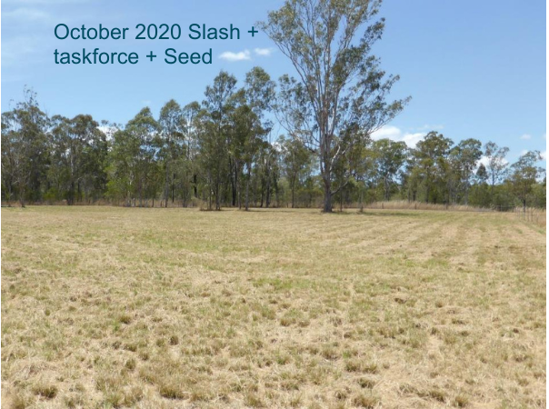 Wayne Vogler - Slashing GRT